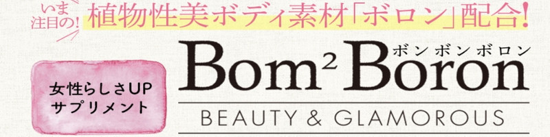 �o�X�g�A�b�v�T�v���u�{���{���{�����v���T�C�g